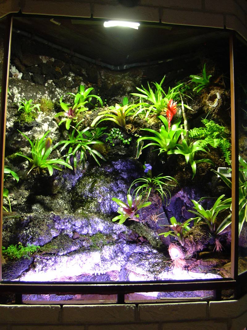 paludarium_800x1064.jpg